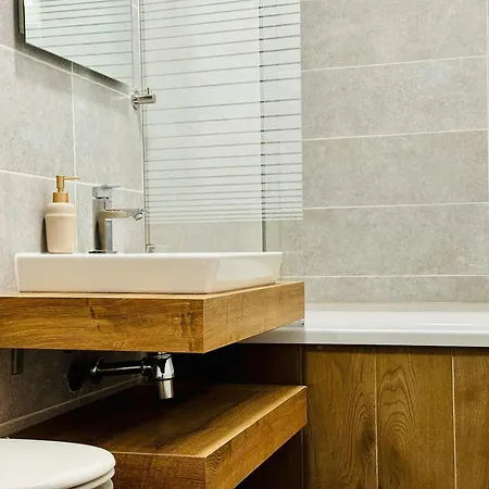 Joy Nord One N2-1 蒂米什瓦拉